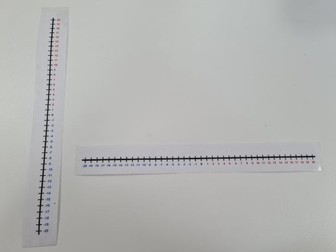 Number Lines (Horizontal & Vertical) -20 to 20  (A4  fit)