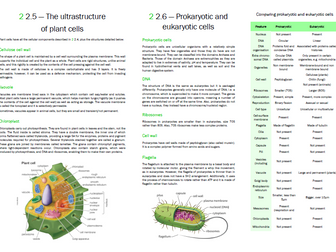 New OCR Biology A Level Eukaryotic and Prokaryotic Cell Structure revision notes