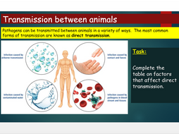 OCR A level Biology (H020) Module 4 - Communicable diseases - Transmission of pathogens