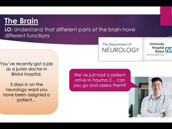 The Brain (KS4)