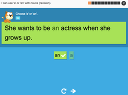 Year 3 Spag - Using 'a' or 'an' with nouns (revision)