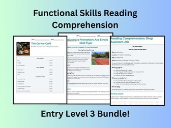 Functional Skills Entry Level 3 Reading Comprehension Bundle