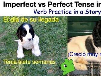Imperfect v Preterite in Spanish Short Story