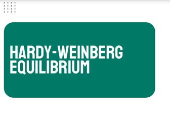AP Biology Unit 7: Hardy-Weinberg Equilibrium