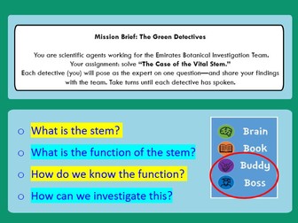 KS2 Science Lesson Function of the Stem