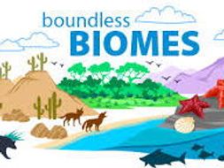 Second Lesson - Types of Biomes