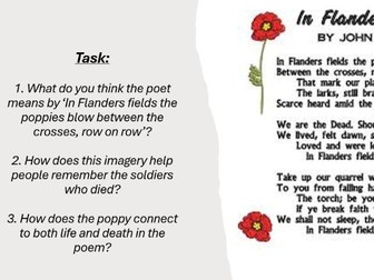 WW1 Poppy and its significance