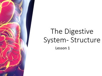 The Digestive System