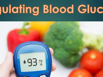 NEW OCR Biology A 5.4.4 Regulating Blood Glucose