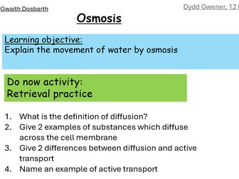 Osmosis lesson