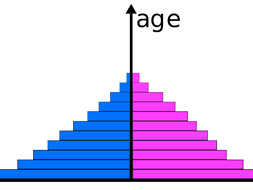 Population Pyramid Worksheet Ks3 - worksheet