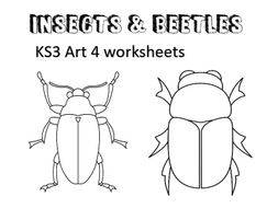 Beetles & Insects KS3 Art 4 Worksheets | Teaching Resources