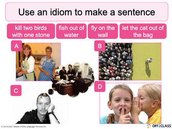 Idioms That Use Animal Vocabulary - ESL/ELL Lesson Plan