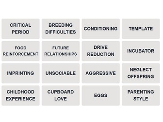 AQA Psychology Attachment Connections Games (NEW SPEC)
