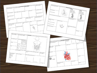 Biology Basics - Revision Wall