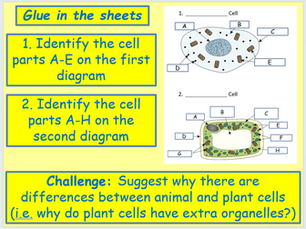 AQA Biology Unit 1 - L1 Cells