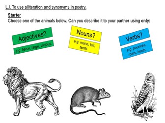 Poetry Day - Alliterative Animal Poetry Lesson