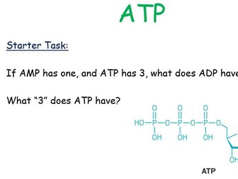 AQA Year 1 ATP