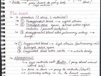 AQA Biology Topic 3 Revision Notes