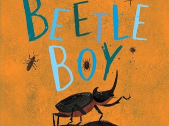 Beetle Boy comprehension workbook
