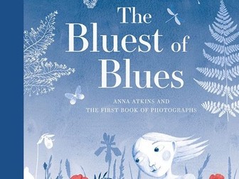 The Bluest of Blues Guided Reading tasks
