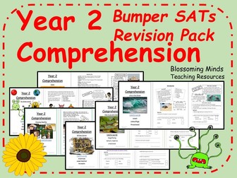 Bumper Year 2 SATs Comprehension Revision Pack