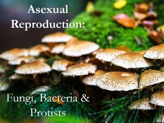 Mod 5  - Asexual Reproduction in Bacteria, Fungi & Protists