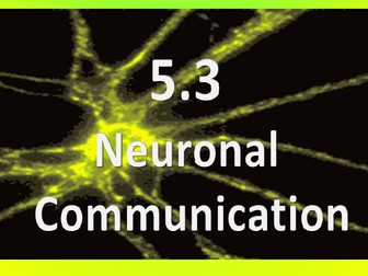 NEW OCR Biology A 5.3.1-5.3.6 Neuronal Communication Lessons