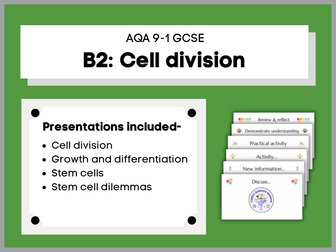 B2 Cell division