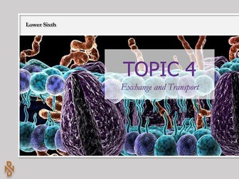 Edexcel A Level Biology B - Topic 4: Exchange and Transport