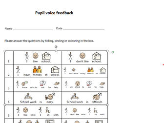 Pupil voice questionnaire for KS1 children