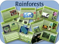 the rainforest powerpoint lessons and activities by highwaystar