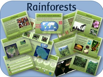 The Rainforest - powerpoint lessons and activities