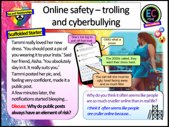 Cyber Bullying Online Trolling