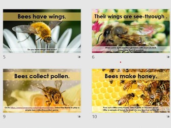 Bee Sensory Science