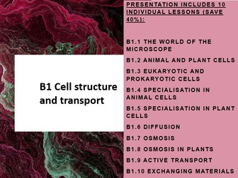 B1 Cell structure and transport