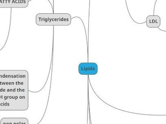 Lipids summary - OCR A-level Biology mindmap