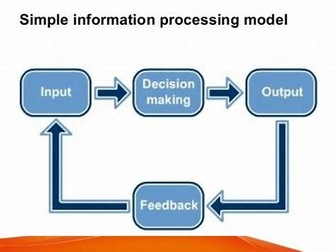 AQA GCSE PE Information Processing worksheet