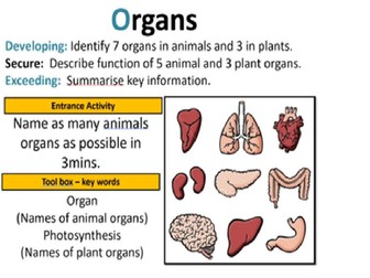 Topic 7A - Organs
