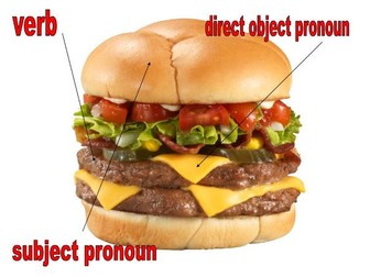Regular verbs present tense dictionary skills negatives direct object pronouns