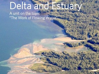 Delta and Estuary