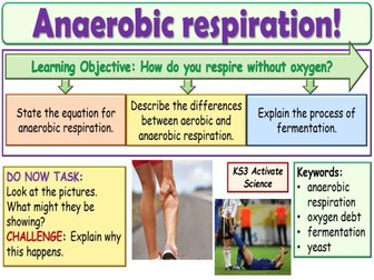 Anaerobic Respiration KS3 Activate Science