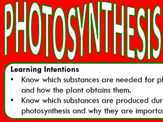 Photosynthesis Powerpoint