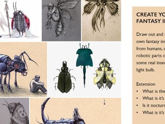 Fantasy insect cover / extension