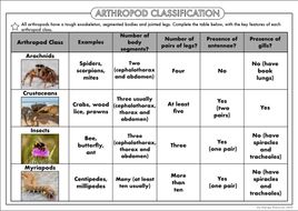 GCSE Biology: Classification Worksheet Pack | Teaching Resources