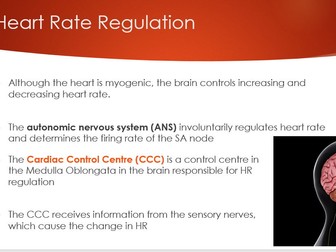 Heart Rate Regulation Lesson - A-Level