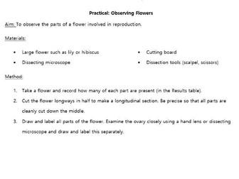 Flower Dissection Worksheet