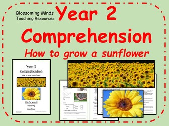 How to grow a sunflower - comprehension - Year 2