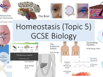 Homeostasis (GCSE Biology Topics 5)