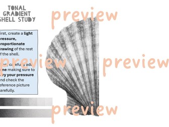 Sea Life - Tonal Gradient Shell Study (symmetrical image)